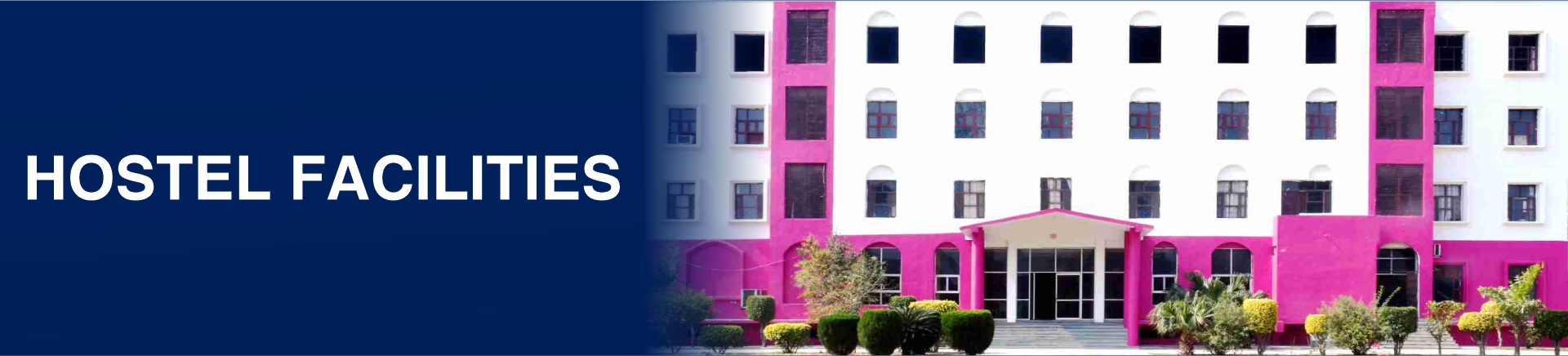 innovative group of college